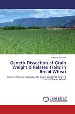 Genetic Dissection of Grain Weight & Related Traits in Bread Wheat