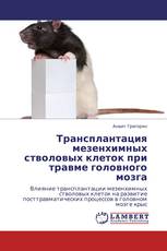 Трансплантация мезенхимных стволовых клеток при травме головного мозга