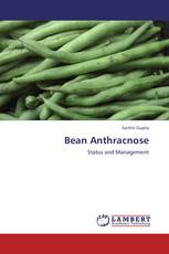 Bean Anthracnose