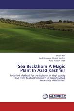 Sea Buckthorn A Magic Plant In Azad Kashmir
