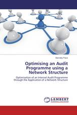 Optimising an Audit Programme using a Network Structure