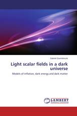 Light scalar fields in a dark universe