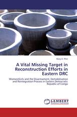 A Vital Missing Target in Reconstruction Efforts in Eastern DRC