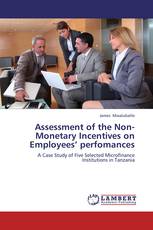 Assessment of the Non-Monetary Incentives on Employees’ perfomances
