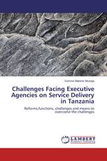 Challenges Facing Executive Agencies on Service Delivery in Tanzania