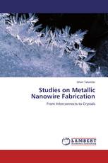 Studies on Metallic Nanowire Fabrication