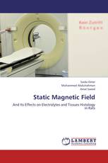 Static Magnetic Field