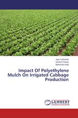 Impact Of Polyethylene Mulch On Irrigated Cabbage Production