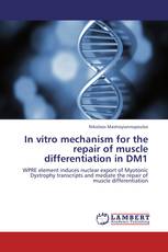 In vitro mechanism for the repair of muscle differentiation in DM1