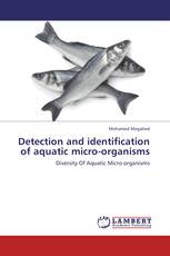 Detection and identification of aquatic micro-organisms