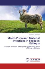 Maedi-Visna and Bacterial Infections in Sheep in Ethiopia