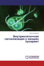 Внутриклеточная сигнализация у низших эукариот