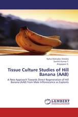 Tissue Culture Studies of Hill Banana (AAB)