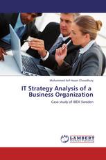 IT Strategy Analysis of a Business Organization