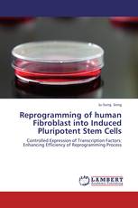Reprogramming of human Fibroblast into Induced Pluripotent Stem Cells