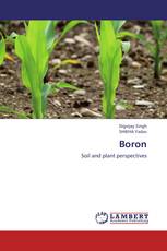 Boron