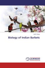 Biology of Indian Barbets