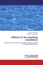 Effects of the working conditions