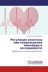 Регуляция апоптоза при повреждении миокарда в эксперименте
