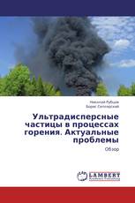 Ультрадисперсные частицы в процессах горения. Актуальные проблемы