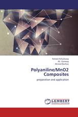 Polyaniline/MnO2 Composites