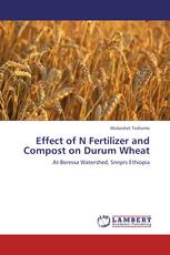 Effect of N Fertilizer and Compost on Durum Wheat