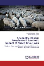 Sheep Brucellosis: Prevalence & Zoonotic Impact of Sheep Brucellosis