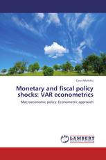 Monetary and fiscal policy shocks: VAR econometrics