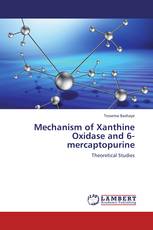 Mechanism of Xanthine Oxidase and 6-mercaptopurine