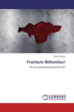 Fracture Behaviour