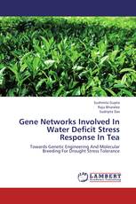 Gene Networks Involved In Water Deficit Stress Response In Tea