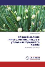 Возделывания многолетних луков в условиях Среднего Урала