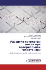 Развитие патологии почек при артериальной гипертензии