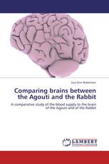 Comparing brains between the Agouti and the Rabbit