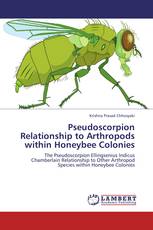 Pseudoscorpion Relationship to Arthropods within Honeybee Colonies