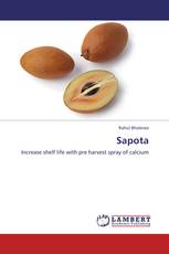 Sapota