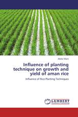 Influence of planting technique on growth and yield of aman rice