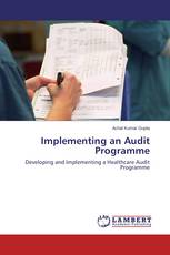 Implementing an Audit Programme