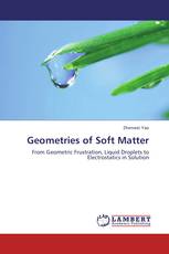 Geometries of Soft Matter