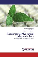 Experimental Myocardial Ischemia in Rats