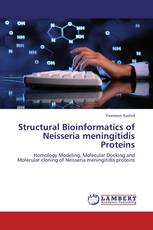 Structural Bioinformatics of Neisseria meningitidis Proteins
