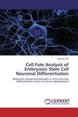 Cell Fate Analysis of Embryonic Stem Cell Neuronal Differentiation
