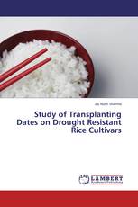 Study of Transplanting Dates on Drought Resistant Rice Cultivars