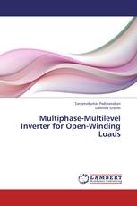 Multiphase-Multilevel Inverter for Open-Winding Loads