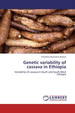 Genetic variability of cassava in Ethiopia