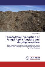 Fermentative Production of Fungal Alpha Amylase and Amyloglucosidase