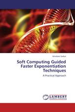 Soft Computing Guided Faster Exponentiation Techniques