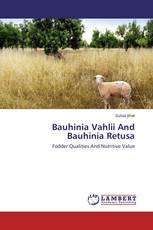 Bauhinia Vahlii And Bauhinia Retusa