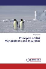 Principles of Risk Management and Insurance