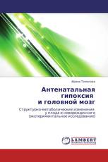 Антенатальная гипоксия   и головной мозг